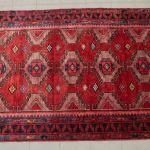 1020 1094 ORIENTAL RUG